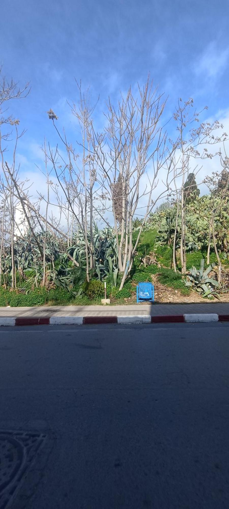Jolie Maison Au Centre De Sidi Bou Ali Exteriör bild